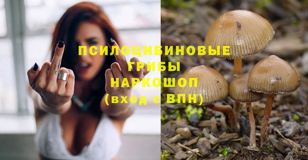 синтетический гашиш Алексин