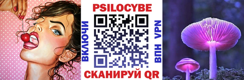 Псилоцибиновые грибы Psilocybe  мега как войти  Нестеров  наркотики 